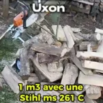 SimpliScie Uxon avec une Stihl MS 261C